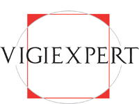 LOGO VIGIEXPERT_WEB4